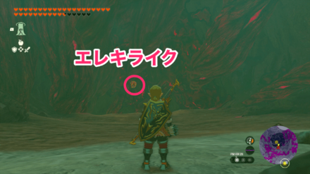 エレキライクがいる場所を下に行く