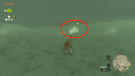 雹吐きリザルフォスは雪に擬態していることがある