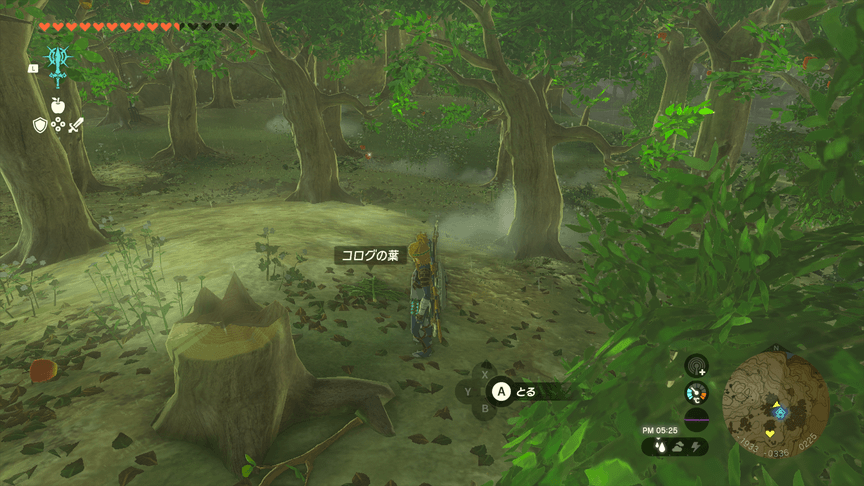 サトリ山東のりんごの森