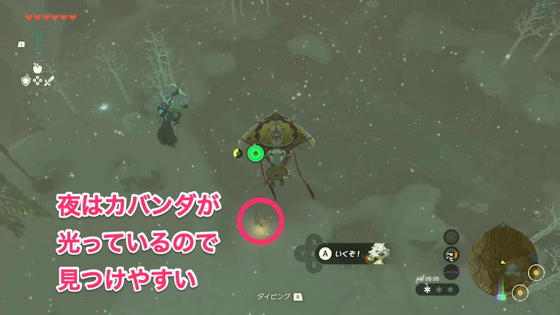 カバンダは夜のほうが見つけやすい