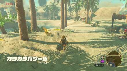 カラカラバザール行き方