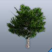 BP「トールツリー」