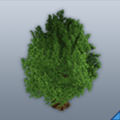 BP「ワイドツリー」