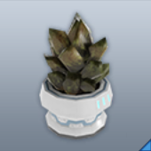 BP「エアル：鉢植え」