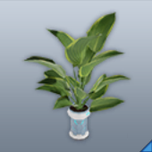 BP「エアル：鉢植えB」