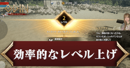 効率的なレベル上げ