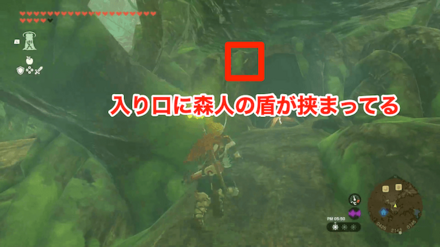 槍と剣を拾って報告したらデクの樹入り口で森人の盾を拾える