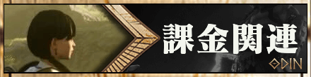 オーディンヴァルハラライジング攻略の課金