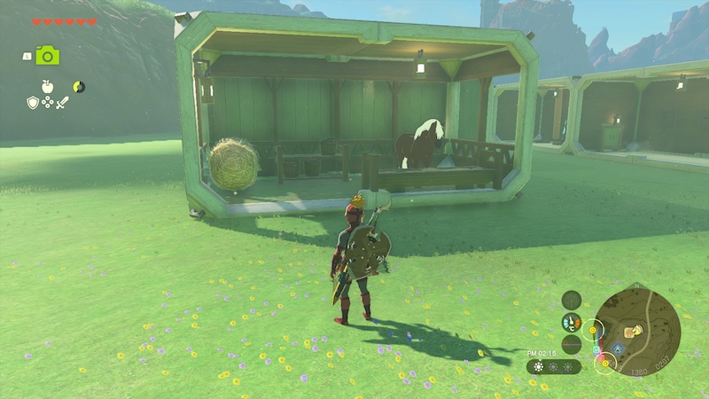 マイホームに馬を入れる