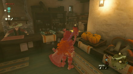 ハテノ村見た目