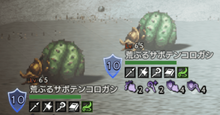 荒ぶるサボテンコロガシ