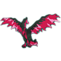 ガラルファイヤーの画像