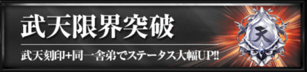 武天限界突破