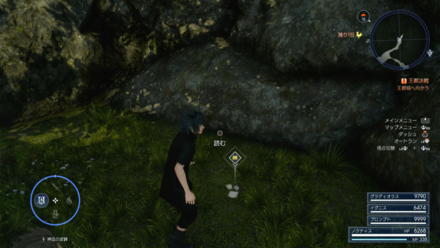 薄霧の森について