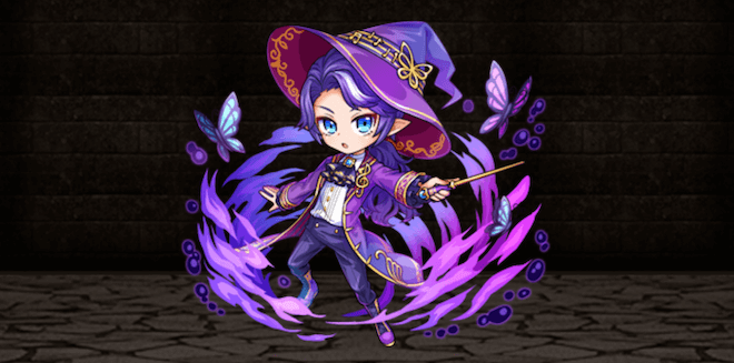 黒蝶のリトルウィザードの画像