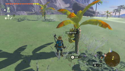 ツルギバナナの実際の場所