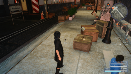 テネブラエについて