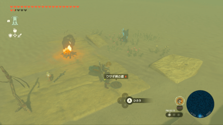 うさぎ柄の盾のゲーム内場所