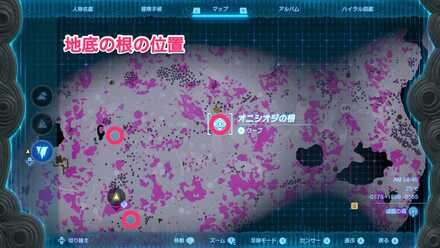 地底の根の位置