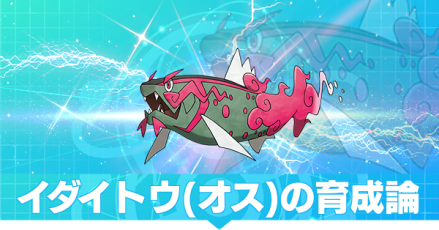 イダイトウ(オス)