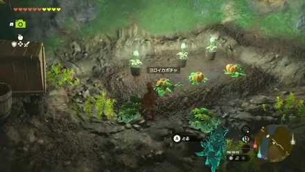 カロク橋の井戸でヨロイカボチャを入手