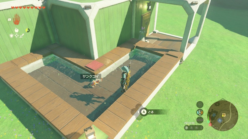 マイホームのサンケゴイ