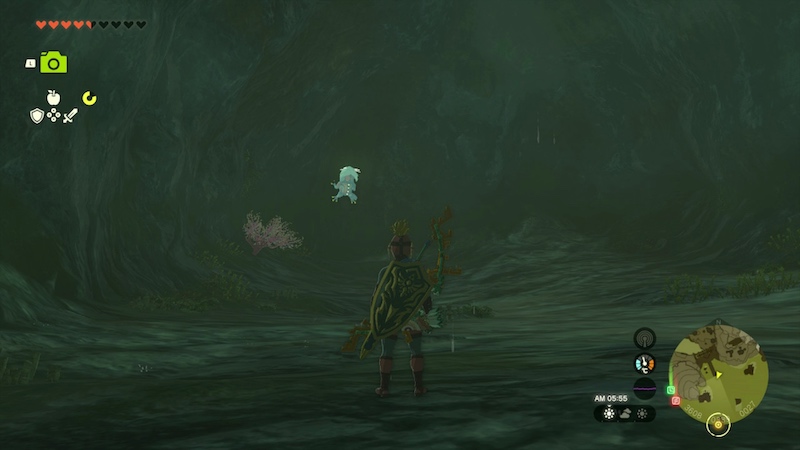 古代ゾーラの祭殿のマップ