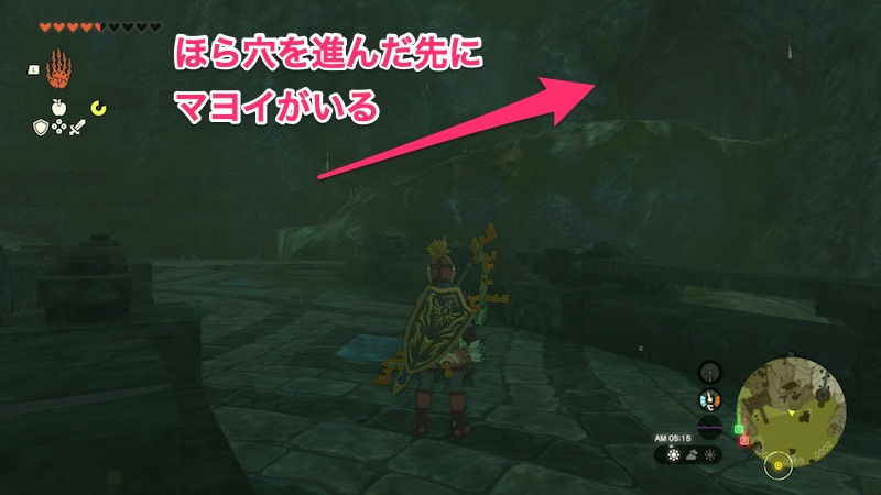 古代ゾーラの祭殿のマヨイの場所行き方