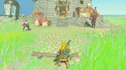 イーガ団2体を倒す