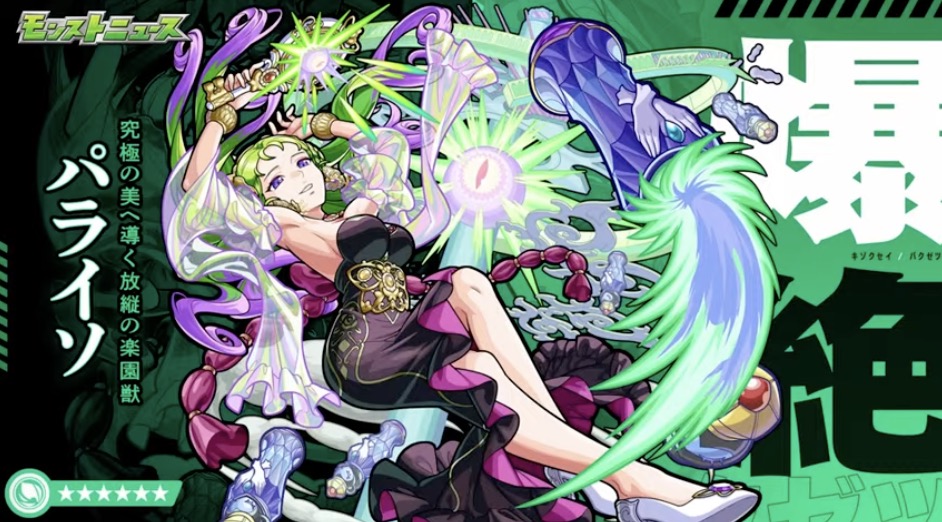 パライソ　バナー