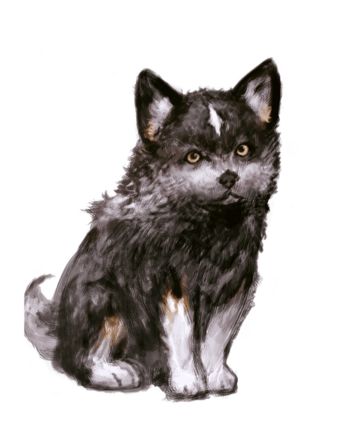 トルガルの少年期