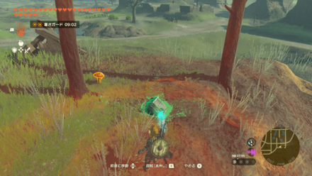 ハイラル東城下町跡で地面に埋まってる宝箱から入手