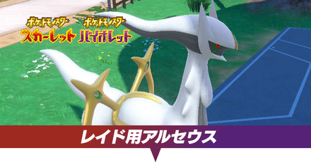 アルセウスレイド用