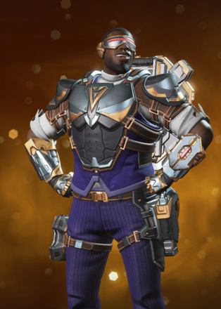 シャペロンの画像