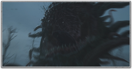 モルボルの画像