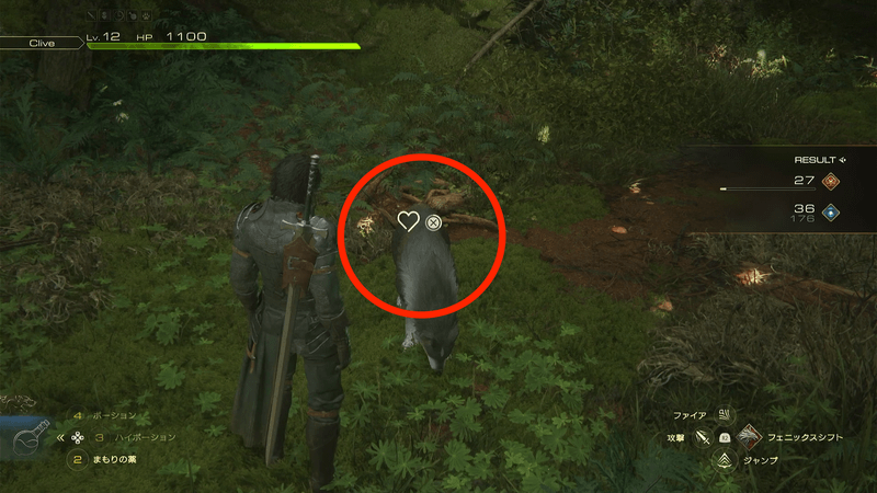 トルガル撫で方