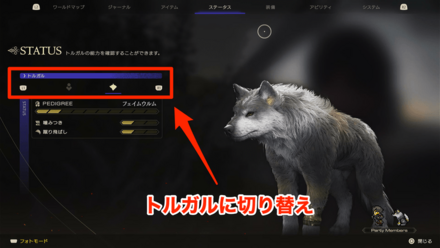 トルガルステータス確認③