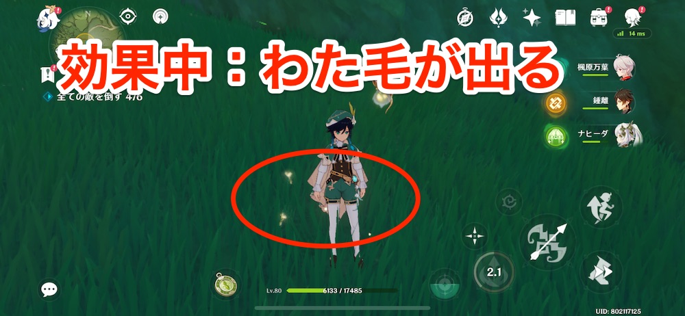 風花の頌歌の効果