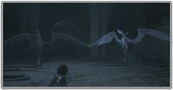 チラーダ＆スパルナ画像