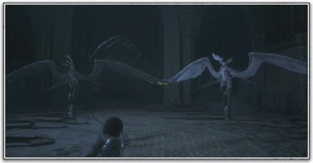 チラーダ＆スパルナの画像