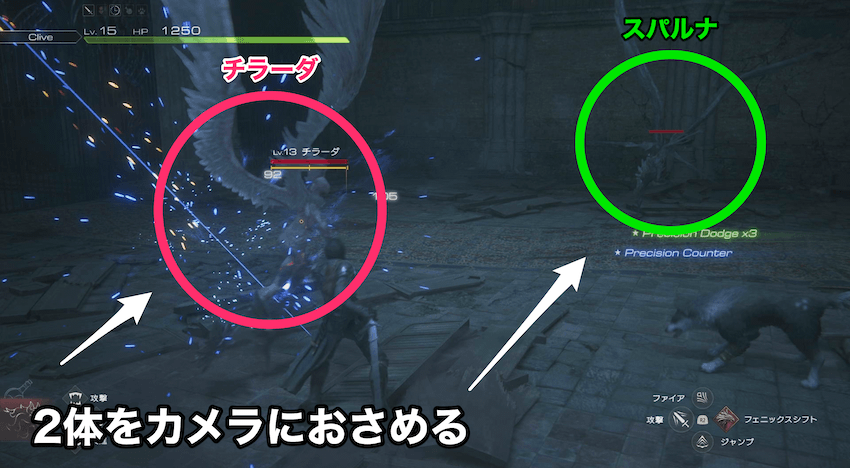 2体をカメラにおさめる