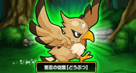 どうぶつ 鷹.PNG