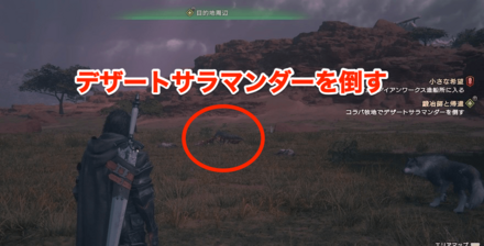 デザートサラマンダー