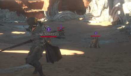 ワイルドナック