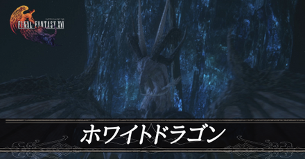 ホワイトドラゴン画像