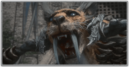 クァールの画像