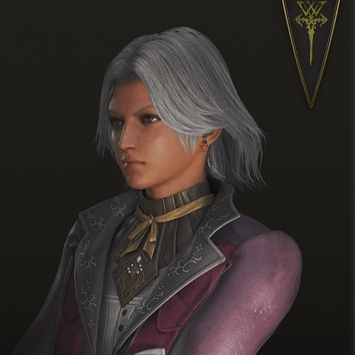 ヴィヴィアン画像