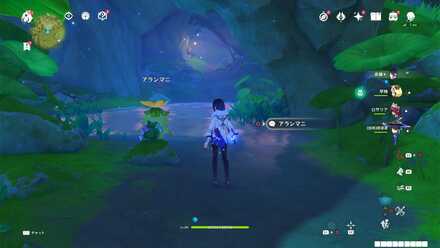 アランマニの姿