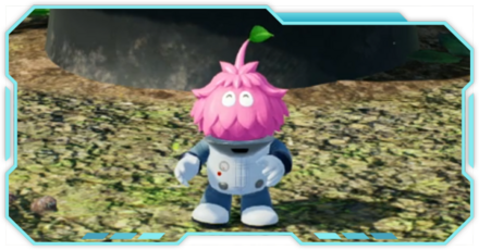 ダンドリチャレンジ