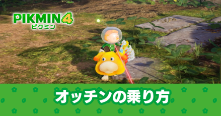 オッチンの乗り方